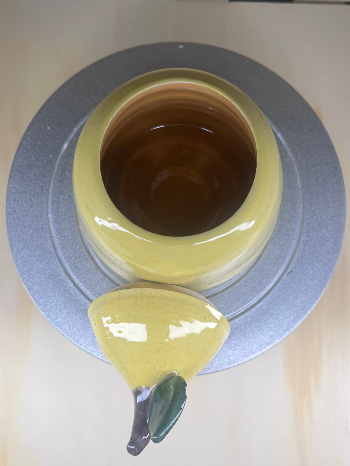 Lemon Container